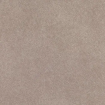 Pelle Aquaclean Social swatch