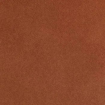 Pelle Aquaclean Waltz swatch