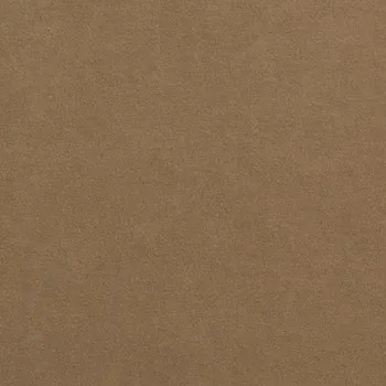 Bella FR Velvet Bisque swatch