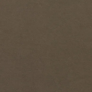Bella FR Velvet Mind swatch