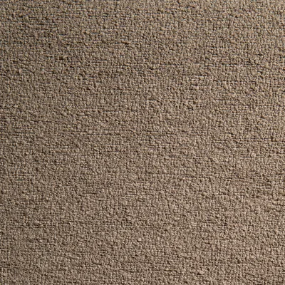 Leopold FR Recycled Boucle Mushroom swatch