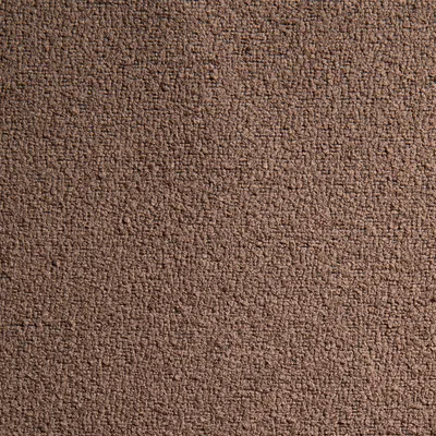 Leopold FR Recycled Boucle Bison swatch