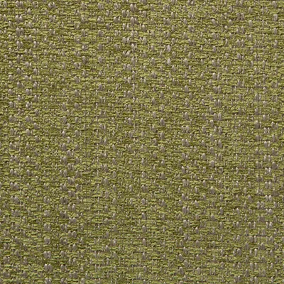 Watson FR Recycled Chenille Elm swatch