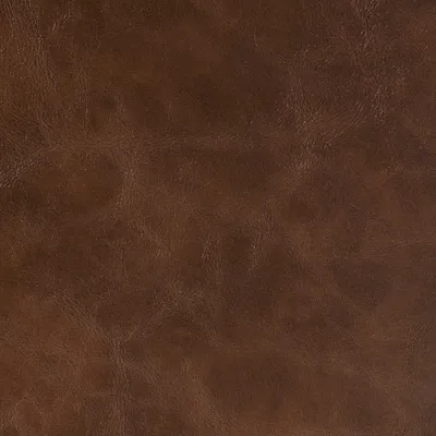 Canyon Faux Leather Aspen swatch