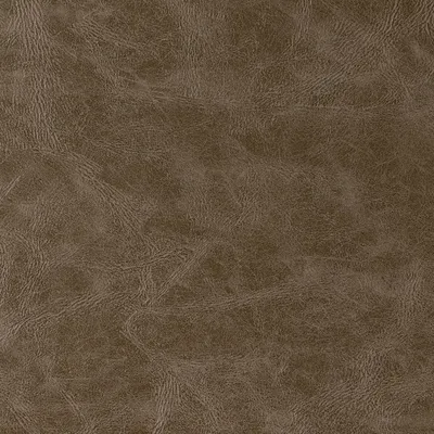 Canyon Faux Leather Cairn swatch