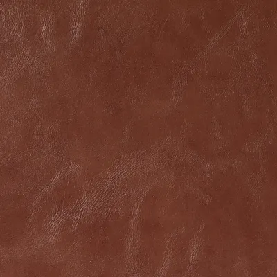 Canyon Faux Leather Loafer swatch