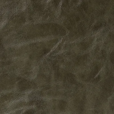 Canyon Faux Leather Lord swatch