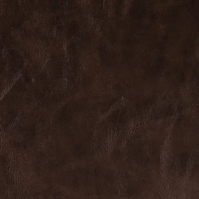 Canyon Faux Leather Monk swatch