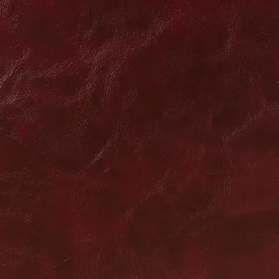 Canyon Faux Leather Setter swatch