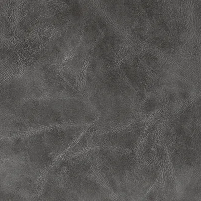 Canyon Faux Leather Trek swatch