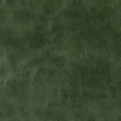 Canyon Faux Leather Treviso swatch