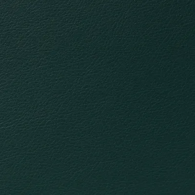 Cordoba Faux Leather Chard swatch