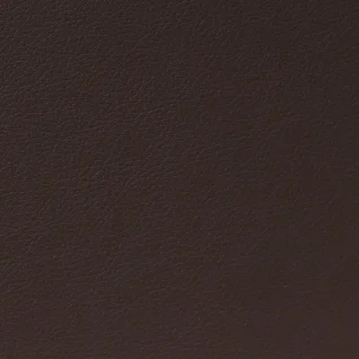 Cordoba Faux Leather Den swatch