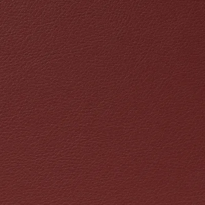 Cordoba Faux Leather Hudson swatch