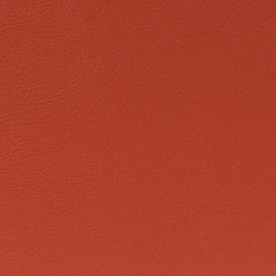 Cordoba Faux Leather Kisaki swatch
