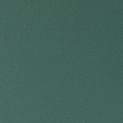 Cordoba Faux Leather Laurel swatch