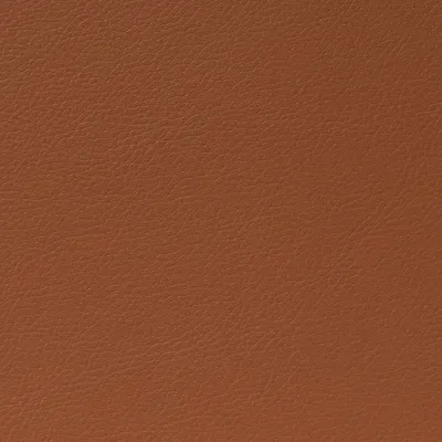 Cordoba Faux Leather Leash swatch