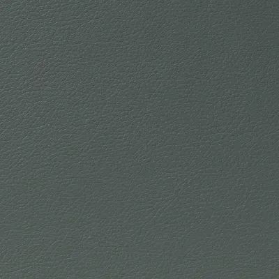 Cordoba Faux Leather Magnum swatch