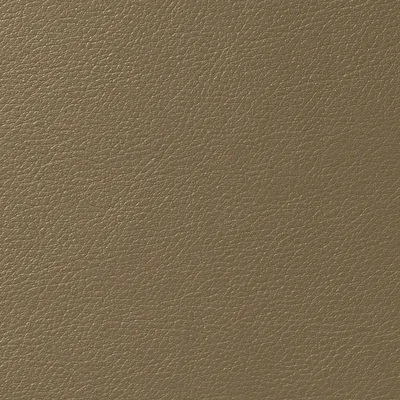 Cordoba Faux Leather Muscat swatch