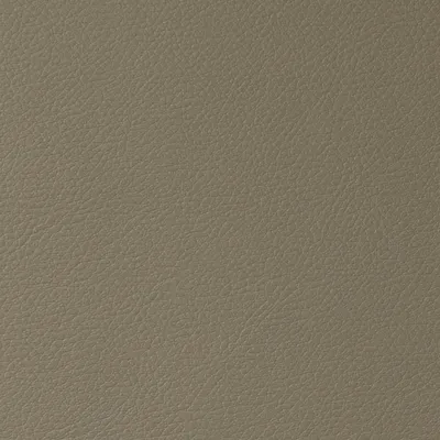 Cordoba Faux Leather Roscoe swatch