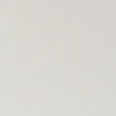 Cordoba Faux Leather Tissue swatch
