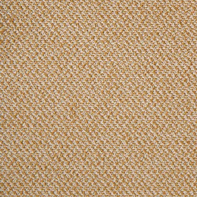 Bali Shortbread swatch