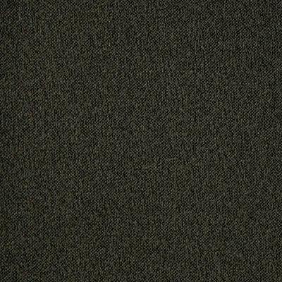 Bermuda Nori swatch