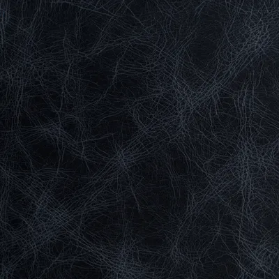 Cassidy Lignite swatch