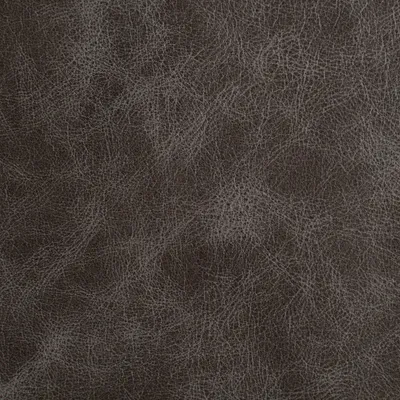 Outlaw Country swatch