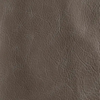 Unique Kansas swatch