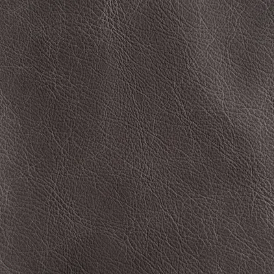 Unique Nomad swatch