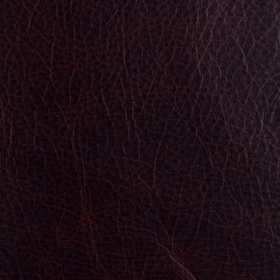 Unique Pompeii swatch
