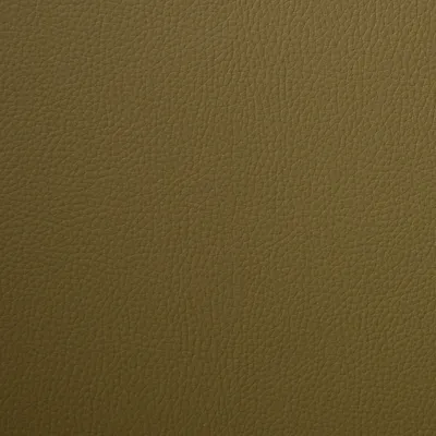 Kielder Bio Faux Leather Aloe swatch