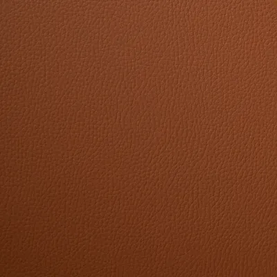 Kielder Bio Faux Leather Banoffi swatch