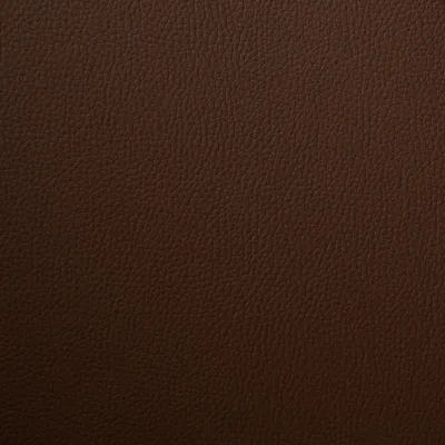 Kielder Bio Faux Leather Dingo swatch