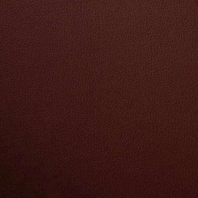 Kielder Bio Faux Leather Fandango swatch