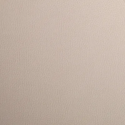 Kielder Bio Faux Leather Feather swatch