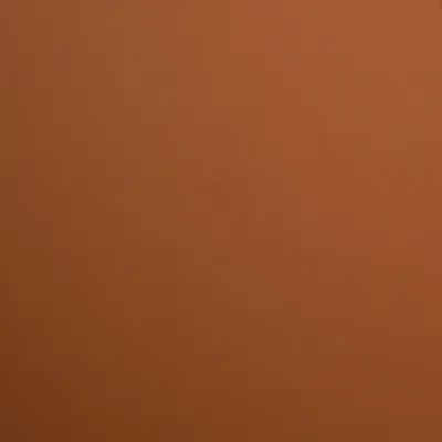 Modena Faux Leather Hawk swatch