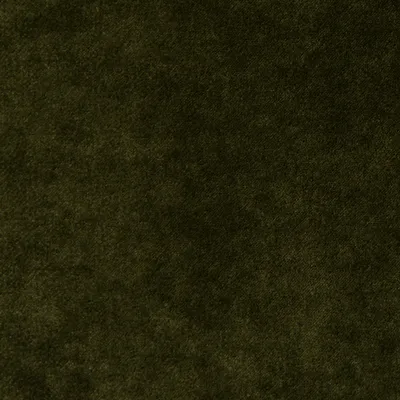 Voyage Inherent FR Velvet Amazon swatch