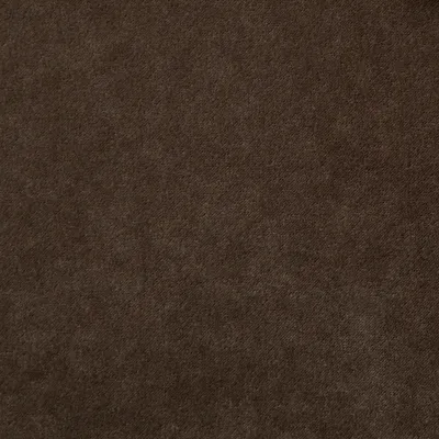Voyage Inherent FR Velvet Bracken swatch