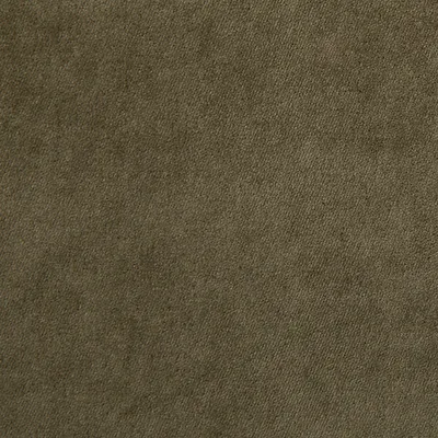 Voyage Inherent FR Velvet Toad swatch