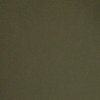 Nappa Aquaclean Grape swatch