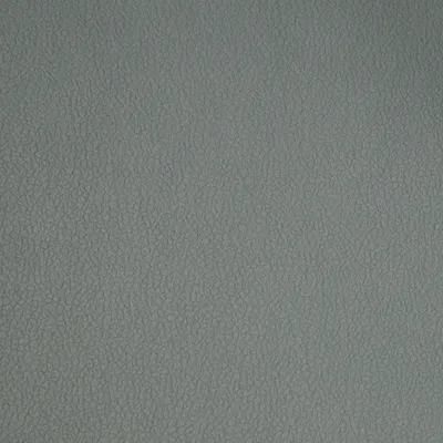 Nappa Aquaclean Gainsboro swatch