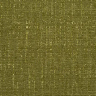 Apex Lawn swatch