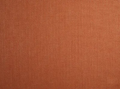 Berkeley Cherub swatch