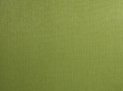 Berkeley Kiwi swatch
