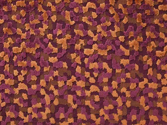Camden Brand swatch