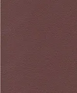 Milano Raisin swatch