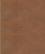 Torino Buckskin swatch