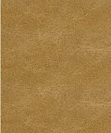 Torino Cider swatch